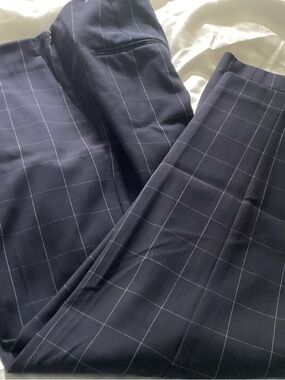 Ann Taylor Petite Navy Pinstripe Skirt/Slacks